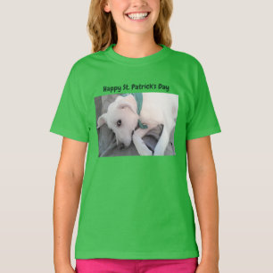 Camiseta Cachorro giro Vestindo Ruas de Scarf. Dia de Patri