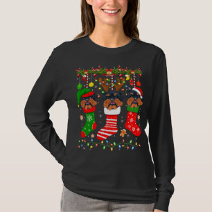 Camiseta Cachorro Griffon De Bruxelas Nas Meias De Natal Xm