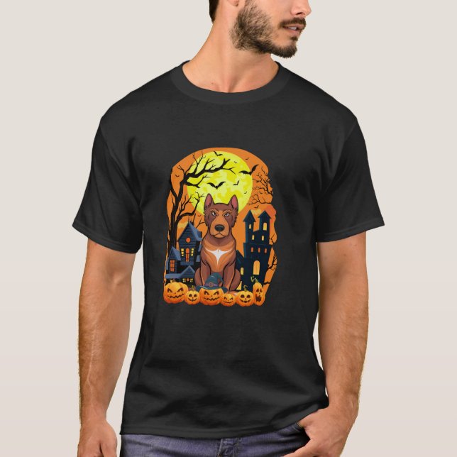 Camiseta Cachorro Heeler Com Pumpkins Engraçado Caranhão de (Frente)