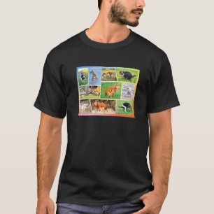 Camiseta Cachorro Humor do Proprietário do Pet Chihuahua