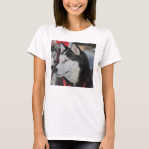 Camiseta Cachorro Husky antes de uma corrida, Canadá