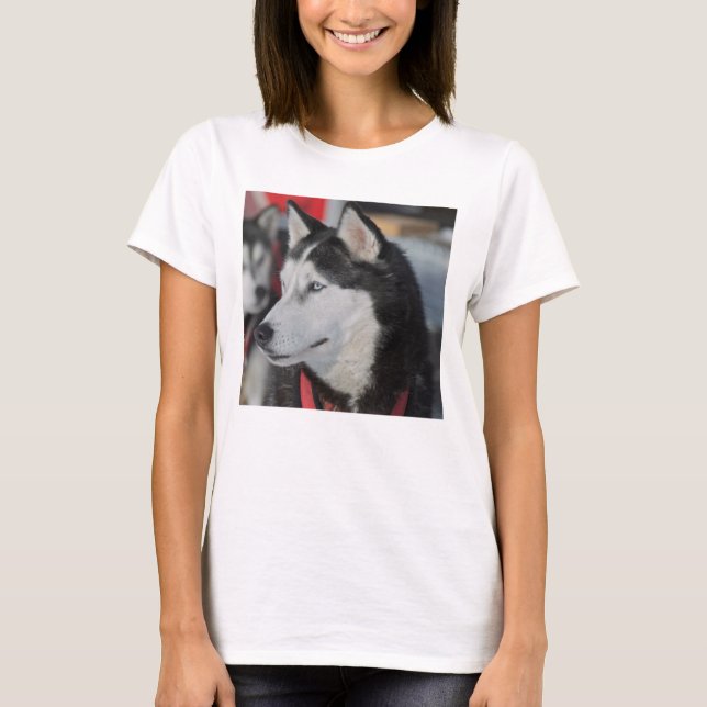 Camiseta Cachorro Husky antes de uma corrida, Canadá (Frente)