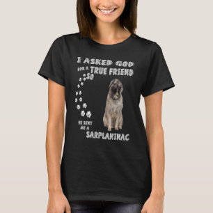 Camiseta Cachorro Illyrian Pai Figurino