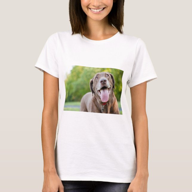 Camiseta Cachorro Labrador Chocolate (Frente)
