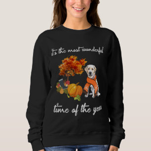 Camiseta Cachorro Labrador É o momento mais maravilhoso