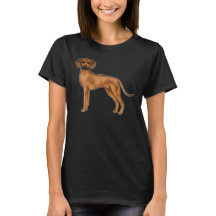 Cachorro Leão Africano Marrom Fofo Rhodesian Ridge