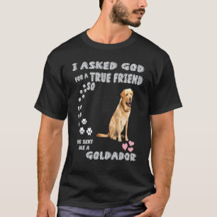 Camiseta Cachorro Mãe Pai Fantasia Golden Retriever Lab Fof
