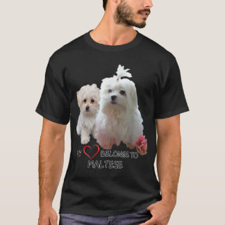 Camiseta Cachorro Maltês Aloja Cachorros Ventilador Cachorr