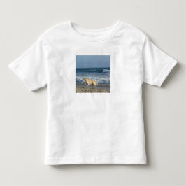 Camiseta Cachorro Na Praia