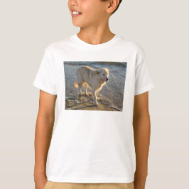Camiseta Cachorro Na Praia