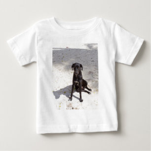 Camiseta Cachorro negro com mau