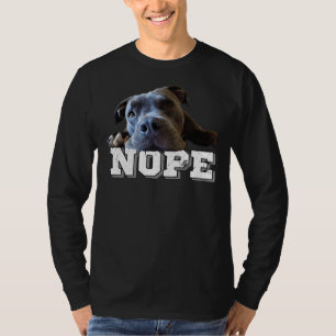 Camiseta Cachorro Preguiçoso Engraçado Cachorro Preguiçoso 