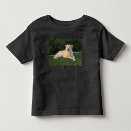 Camiseta Cachorro Relaxando