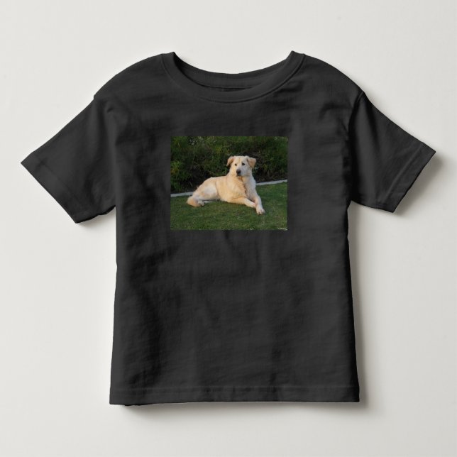 Camiseta Cachorro Relaxando (Frente)