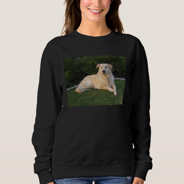Camiseta Cachorro Relaxando (Frente)