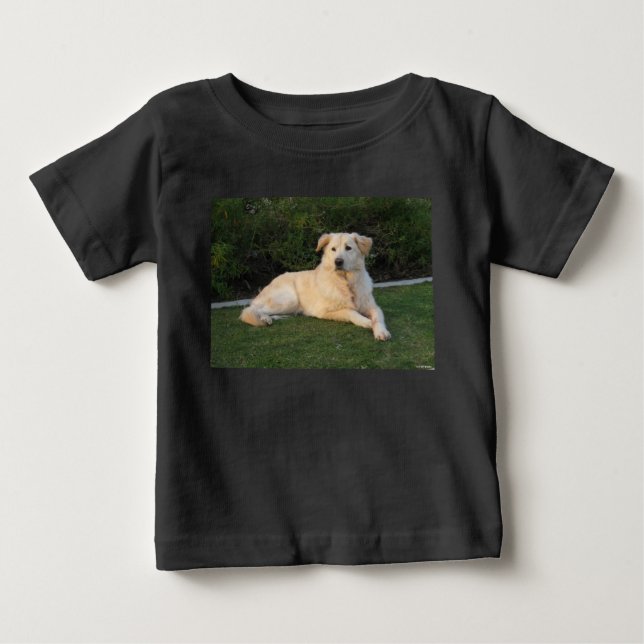 Camiseta Cachorro Relaxando (Frente)