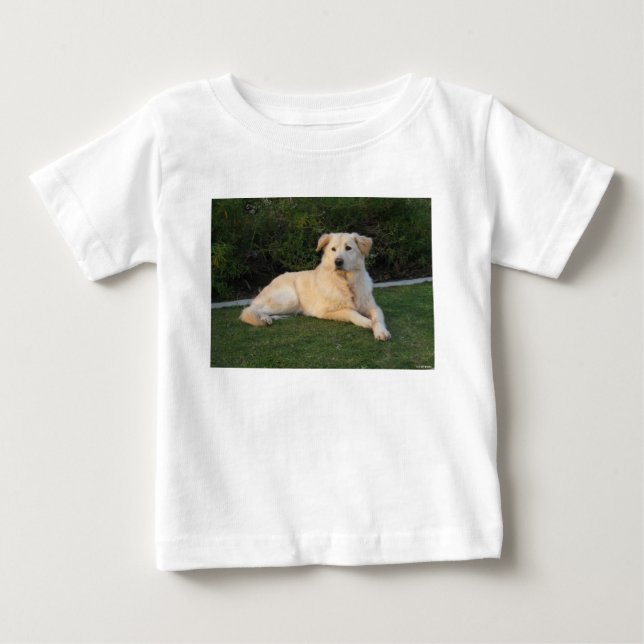 Camiseta Cachorro Relaxando (Frente)