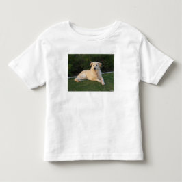 Camiseta Cachorro Relaxando