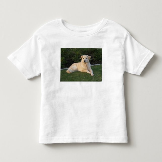 Camiseta Cachorro Relaxando (Frente)