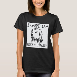 Camiseta Cachorro Retriever Dourado 1