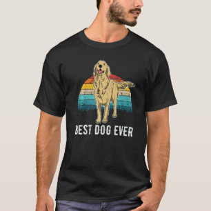 Camiseta Cachorro Retriever Dourado Pôr do Sol 18