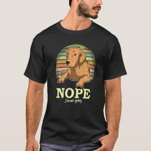 Camiseta Cachorro Retriever Dourado Pôr do Sol 20