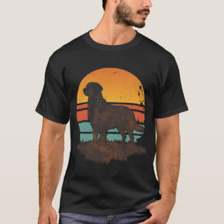 Camiseta Cachorro Retriever Dourado Vintage Anos 70 Retro P