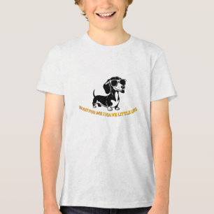 Camiseta Cachorro Wiener Fofo Usando Óculos de Sol PNG – Pe