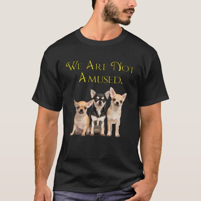 Camiseta Cachorros Chihuahua Engraçados Não Somos Divertido (Frente)
