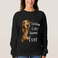 Cachshund Cutest Animal Alguma Vez Cachorro Abraça