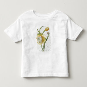 Camiseta Cacto: Círio, Plantae Selectae" 175 de Trew do "