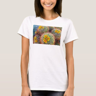 Camiseta Cacto em barril close up, Califórnia