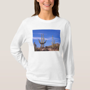 Camiseta Cacto Saguaro gigante multi braços, Saguaro