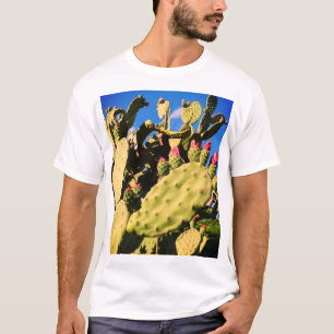 Camiseta Cactos Saguaro, Plantas Cactos