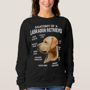 Camiseta Cães 365 Anatomia De Um Cachorro De Retriever Labr