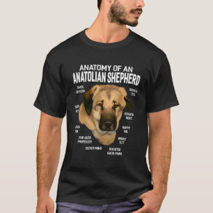 Camiseta Cães 365 Anatomia De Uma Fundição De Cachorro Anat