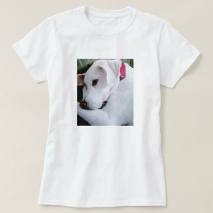 Camiseta Cães brancos e brancos