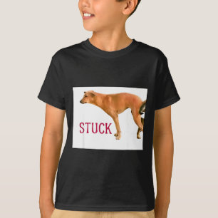 Camiseta Cães Juntos Cachorros Divertidos Frase de Casal Ci