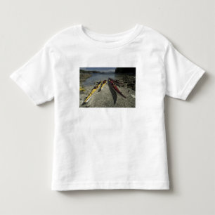 Camiseta Caiaques na Ilha Dicebox, Grupo Broken Island,