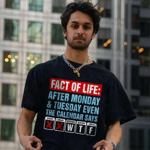 Camiseta Calendário Facto da Vida Diz Humor WTF