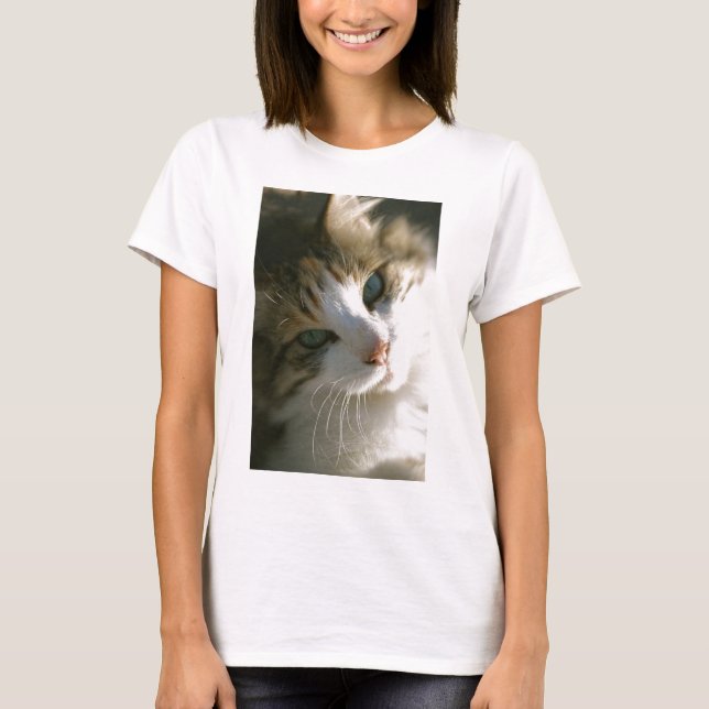 Camiseta Calico Tiger Cat (Frente)