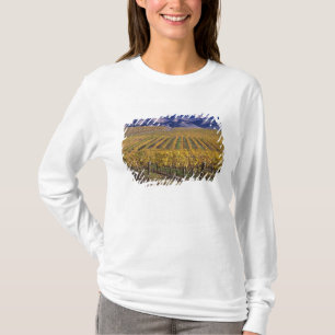 Camiseta Califórnia, Condado de San Luis Obispo, Edna Valle