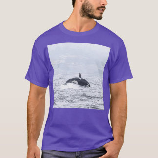 Camiseta California Killer Whale CA40