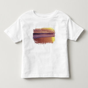 Camiseta Califórnia, perto de Santa Cruz, Vista da praia em
