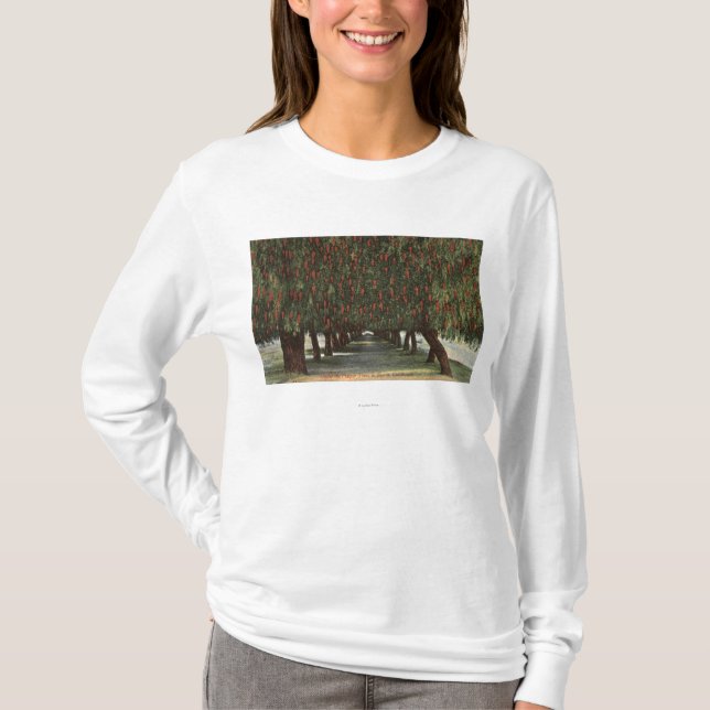 Camiseta CaliforniaGroves de árvores de pimenta (Frente)