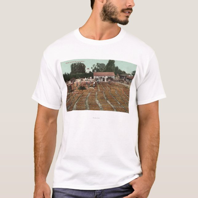 Camiseta CaliforniaView dos pêssegos que secam no Sun (Frente)