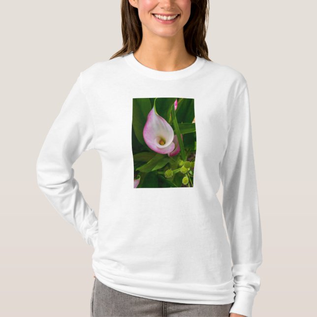 Camiseta Calla Roll Long Sleeve T Shirt (Frente)