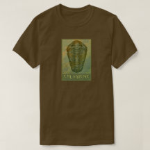 Calymene Trilobita Paleo-chic em Verde
