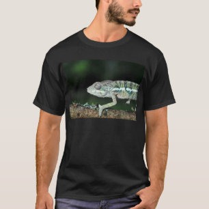 Camiseta camaleão da pantera
