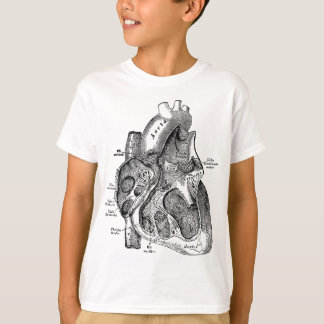 Camiseta Câmara Direita do Tee da Anatomia do Coração Human